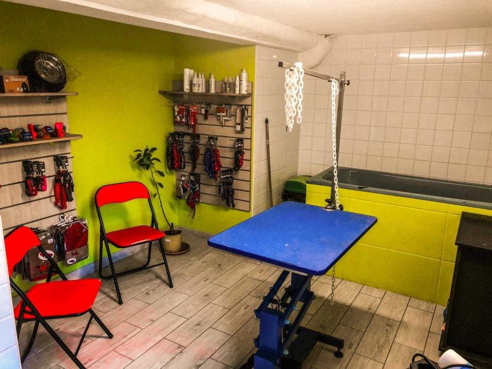 salle de toilettage